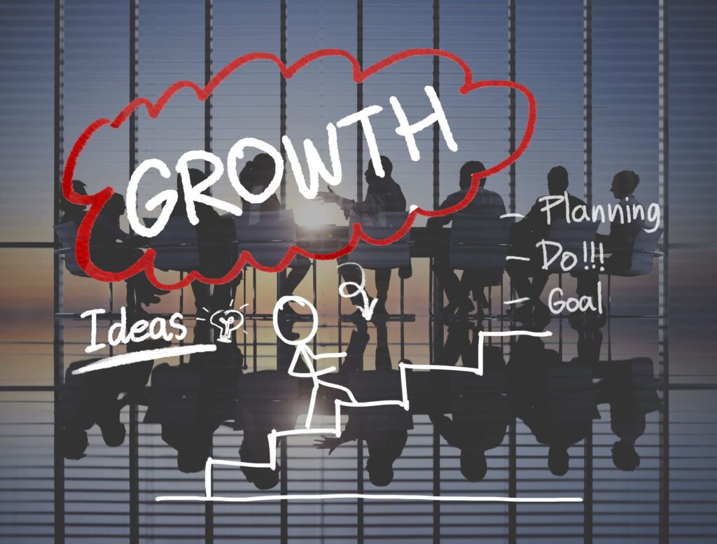 Growth Strategies in Company